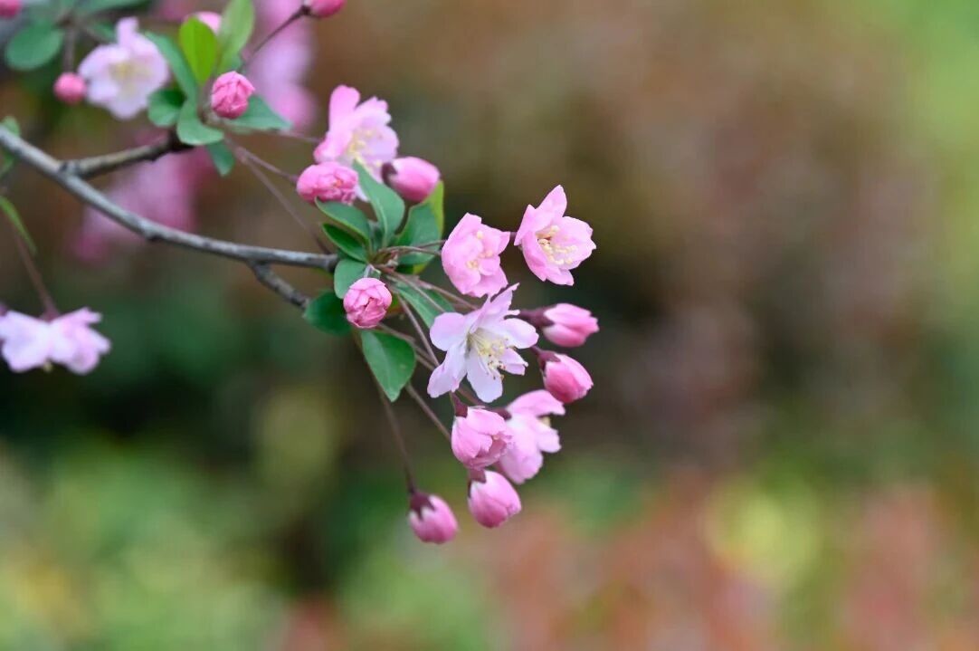 1758179468430231.jpg 微信图片_2025-09-18_150921_708.jpg